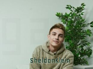 SheldonKlein