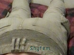 ShyFem