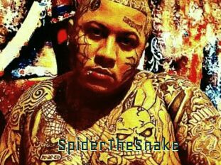 SpiderTheSnake