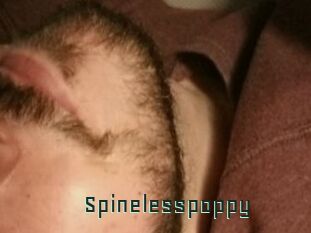 Spinelesspoppy