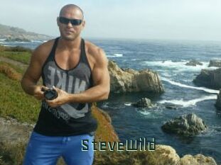 SteveWild