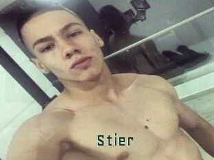 Stier