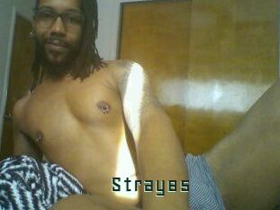 Stray85