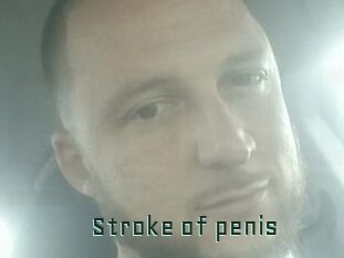 Stroke_of_penis