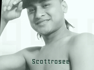 Scottrosee