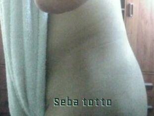 Seba_totto