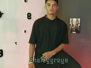 Shelbygreys