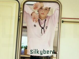 Silkybert
