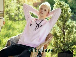 Silkydave