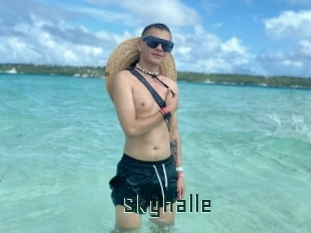 Skyhalle