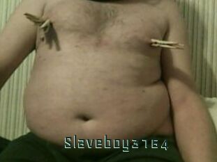 Slaveboy3164