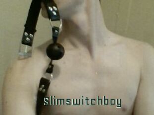 Slimswitchboy