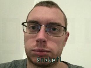 Snakefl