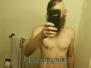 Sodomymike