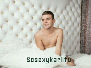 Sosexykarllfu