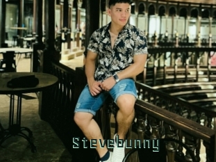Stevebunny