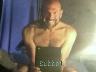 Subbot