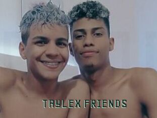 TAYLEX_FRIENDS