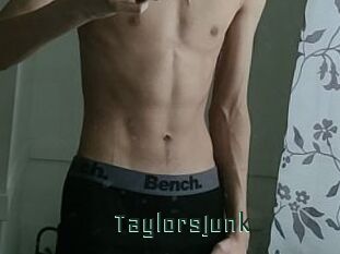 TaylorsJunk