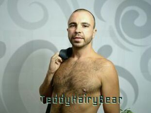 TeddyHairyBear