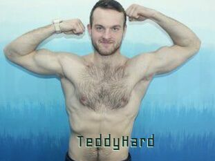 TeddyHard