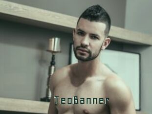 TeoBanner