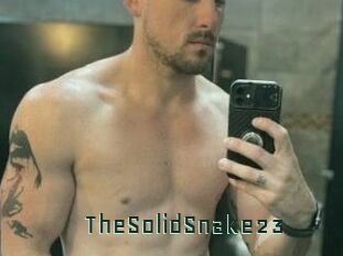 TheSolidSnake23