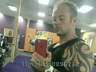 Tigerstripes6767