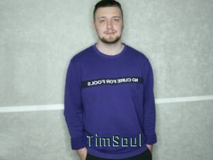 TimSoul