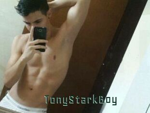 TonyStarkBoy