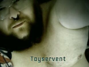 Toyservent