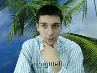 TroyMellow Gay Porn