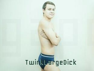 TwinkLargeDick