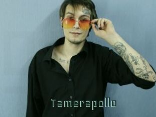 Tamerapollo