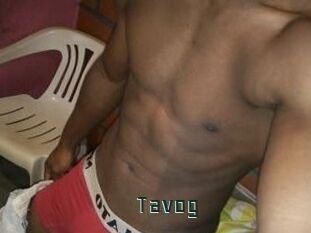 Tavog