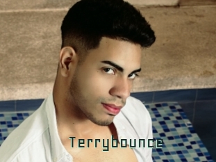 Terrybounce