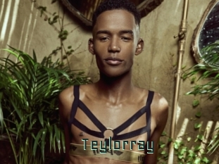 Teylorray