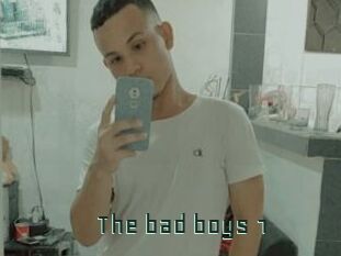 The_bad_boys_1