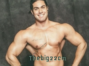 Thebig22cm