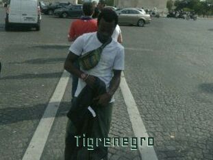Tigrenegro