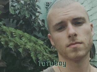 Tofu_boy