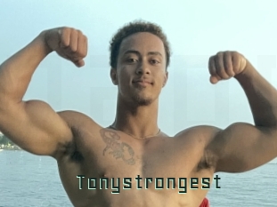 tonystrongest Gay Porn