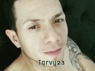 Torvy23