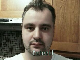 totocul Gay Porn