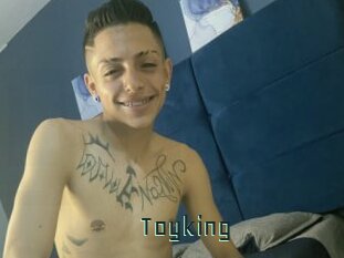 toyking Gay Porn