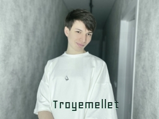 troyemellet Gay Porn