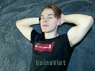 VeinsViet
