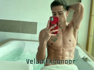 Velamiikconoor