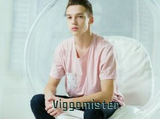 Viggomister
