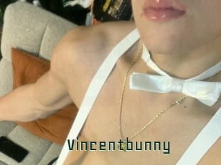 Vincentbunny